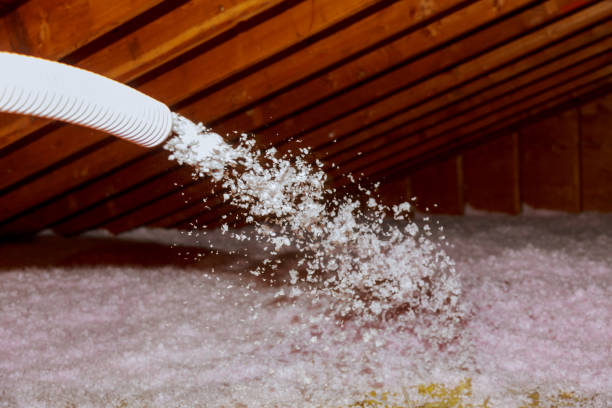 Best Insulation Maintenance and Repair in Selma, AL
